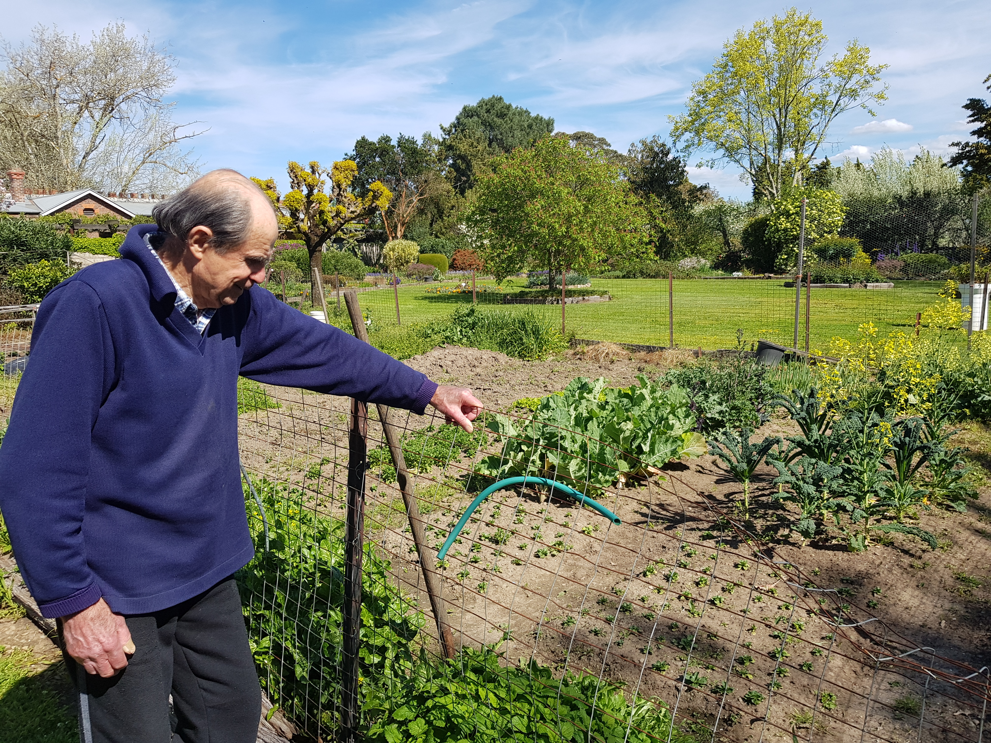 opa's veggie patch